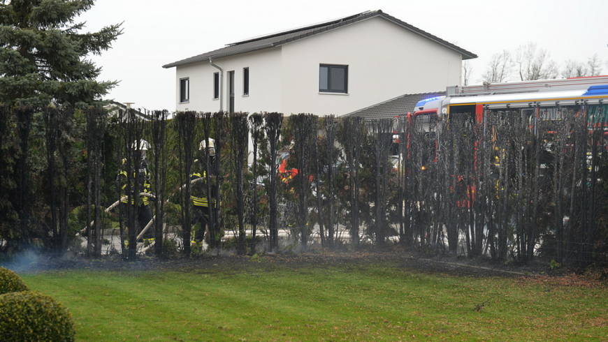 Buschwerk am Gebäude
