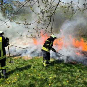 Weiterer Wald- und Vegetationsbrandlehrgang in Bad Buchau