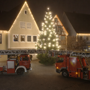 Weihnachts- und Neujahrsgrüße 2025