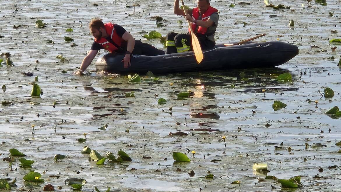 Tierrettung auf dem Federsee