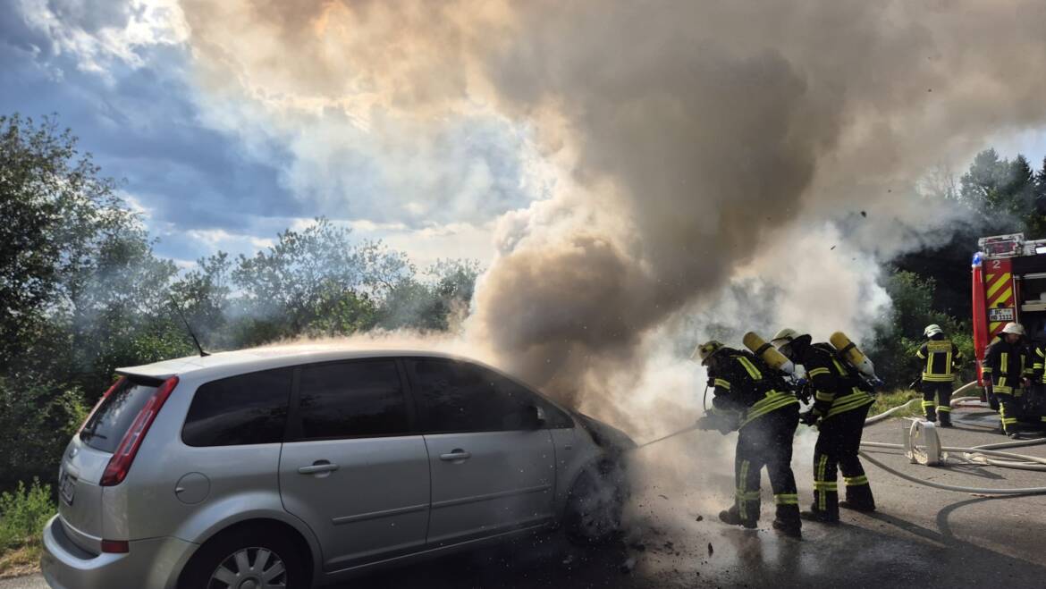 PKW Brand freistehend